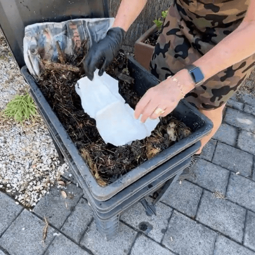 How to Compost Biodegradable Nappies at Home? - Terra Middle East