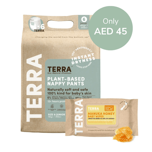 Best Subscription Bundle - Terra Middle East